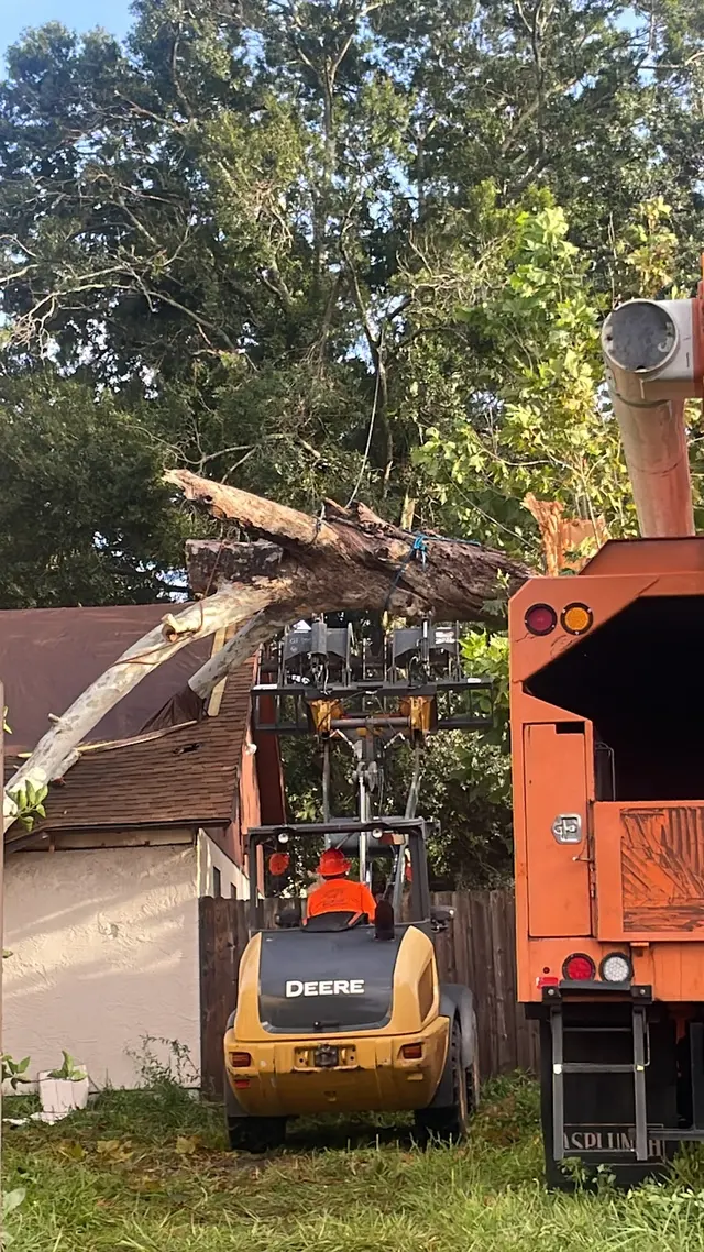 Premier Outdoor Tree Services — photo from the business 8
