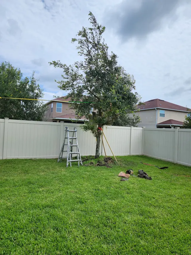 Premier Outdoor Tree Services — customer photo 3