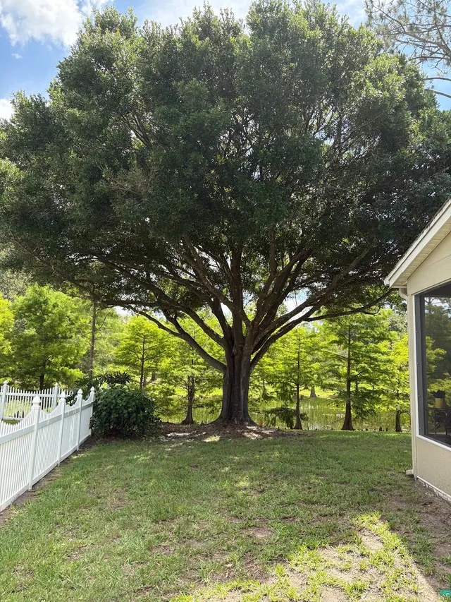 Premier Outdoor Tree Services — customer photo 4
