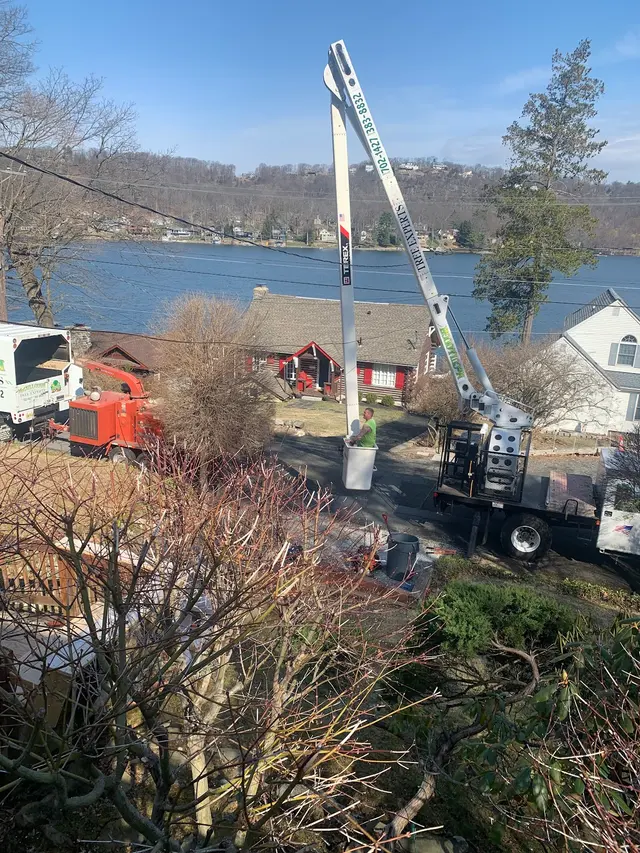 McCullough Tree Service — customer photo 7