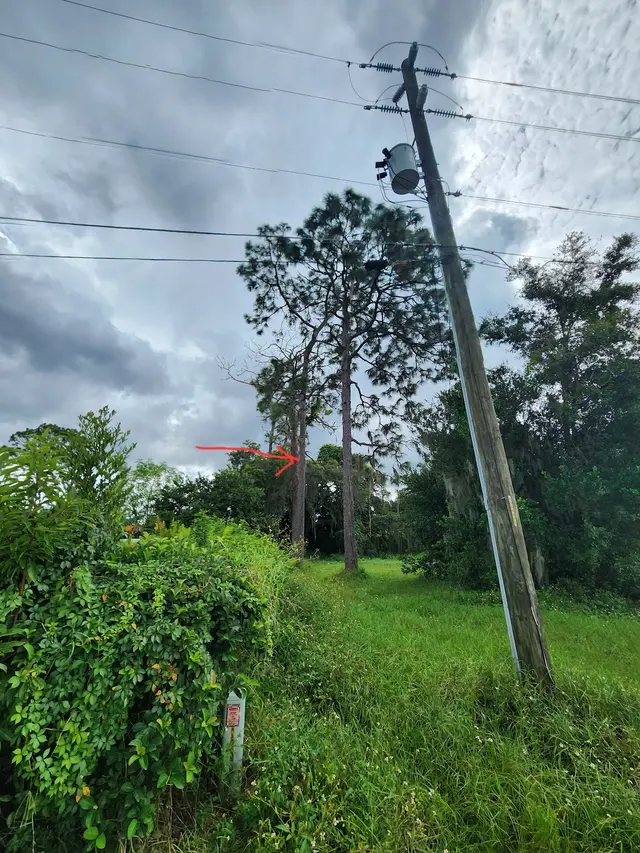 McCullough Tree Service — customer photo 12