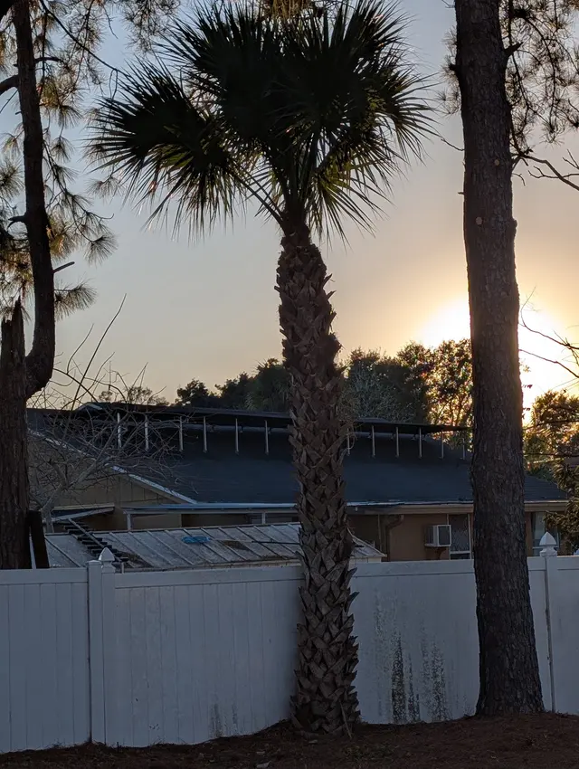 McCullough Tree Service — customer photo 8