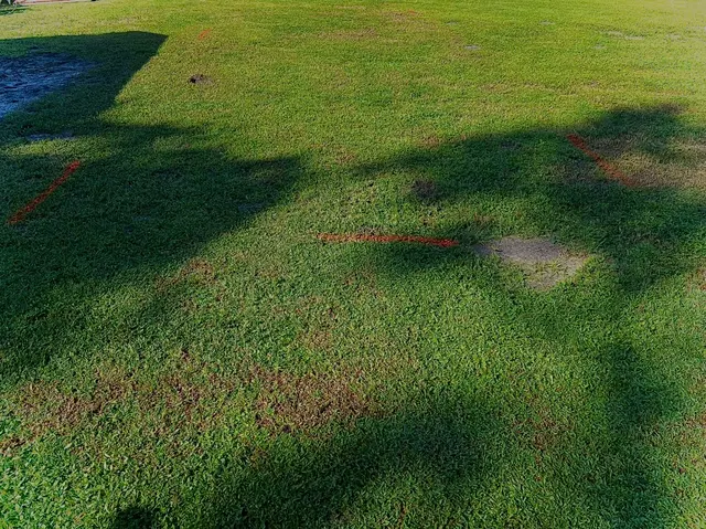 Customer photo of work by Drain Mechanics Plumbing & Septic, from Jawnee Steele's review