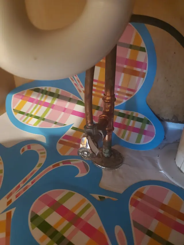 Customer photo from Gary's review