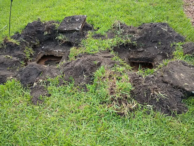 The Royal Flush Septic — photo from the business 1