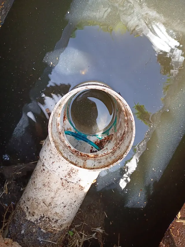 The Royal Flush Septic — photo from the business 4