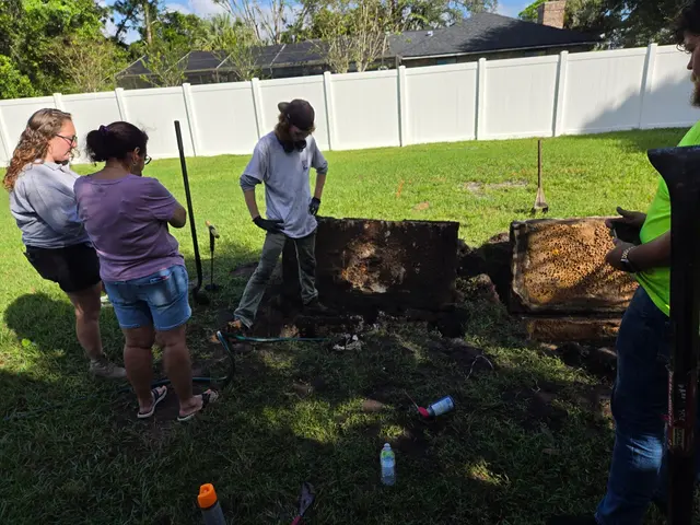 The Royal Flush Septic — customer photo 5