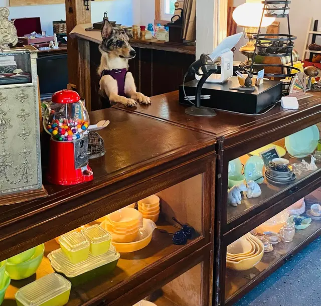 The 1908 Antiques, Gifts, Furniture Restoration — photo from the business 9
