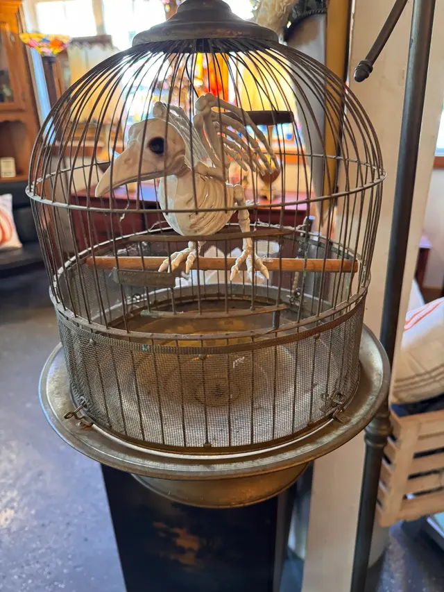 The 1908 Antiques, Gifts, Furniture Restoration — photo from the business 12
