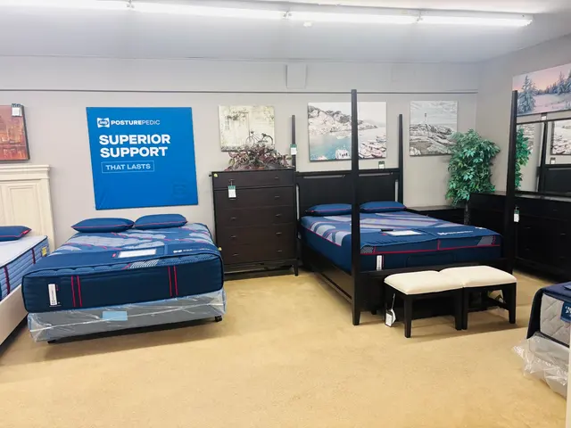 Rudolph's Furniture — customer photo 10