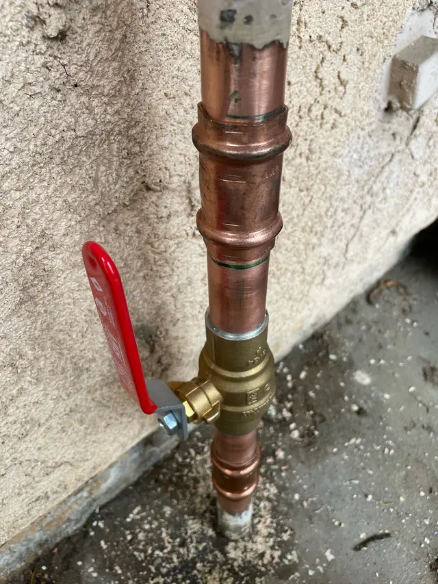 Customer photo from Ramiro's review