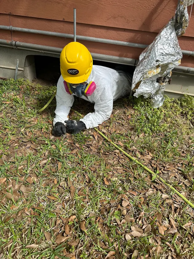 007 Pest & Termite — photo from the business 4