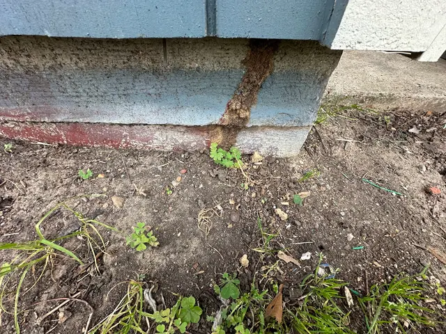 007 Pest & Termite — photo from the business 6