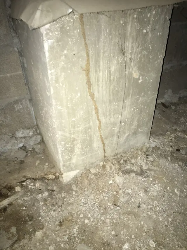 007 Pest & Termite — photo from the business 12