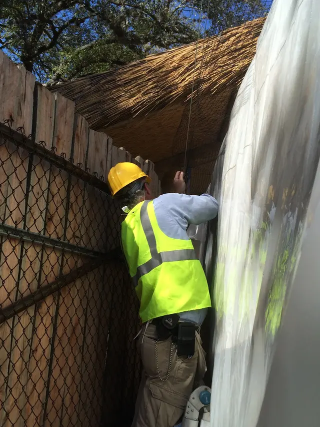 Killum Pest Control — photo from the business 9