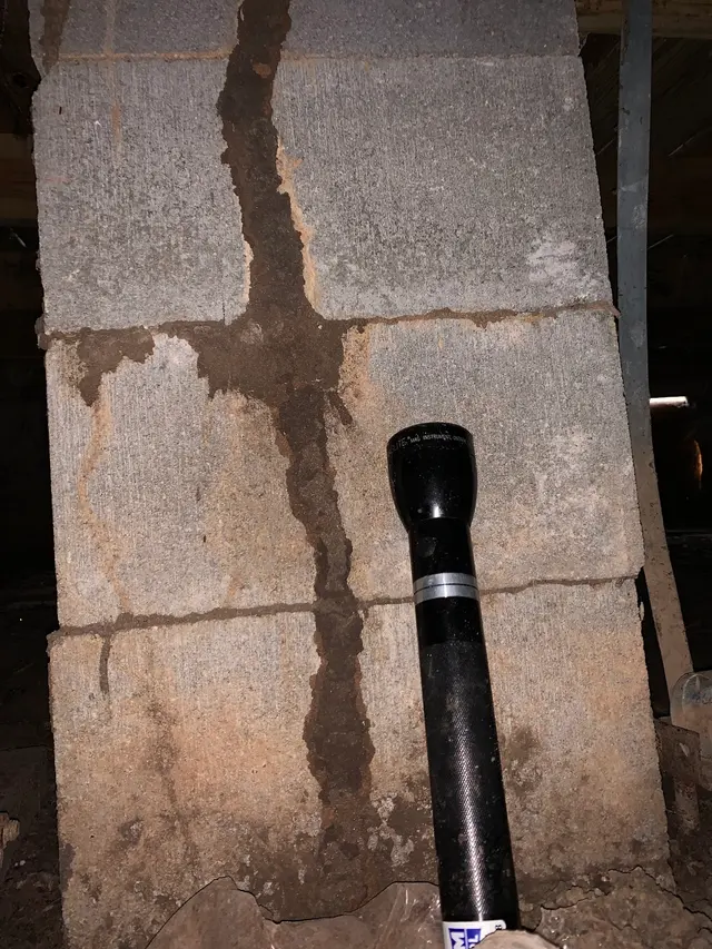 Killum Pest Control — photo from the business 10