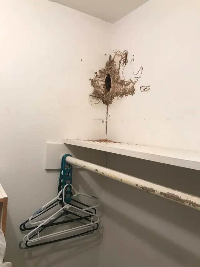 Prokill Pest Control — photo from the business 6