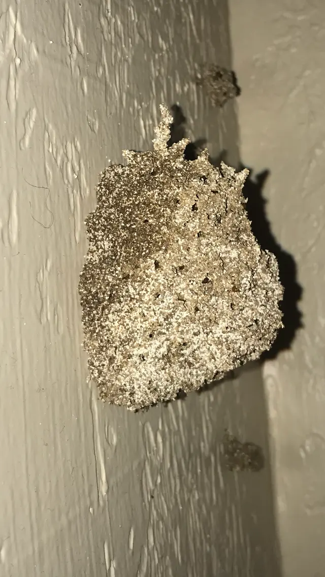 Prokill Pest Control — photo from the business 12