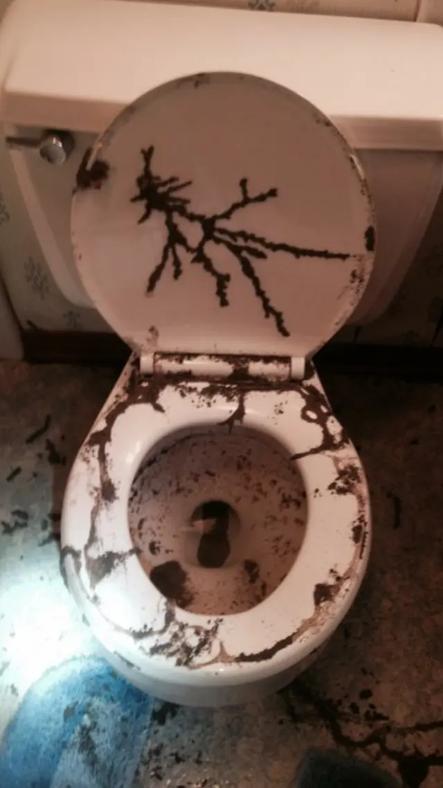 Prokill Pest Control — photo from the business 8