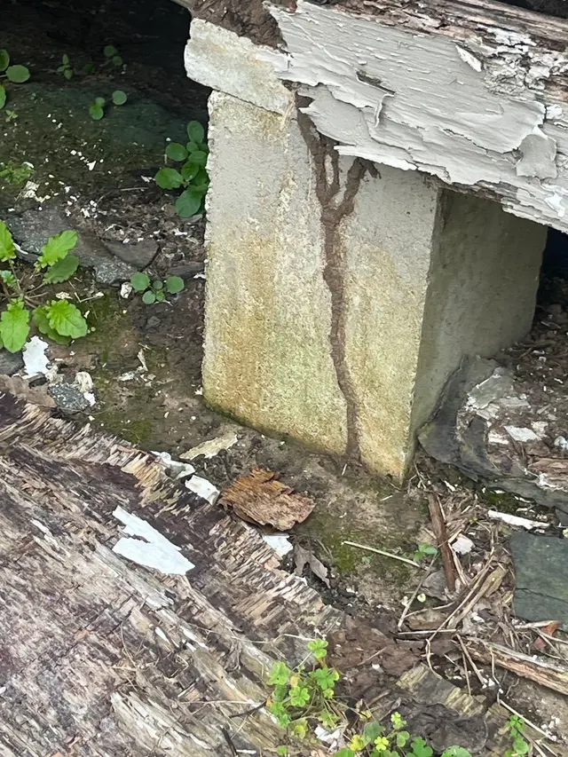 Prokill Pest Control — photo from the business 1