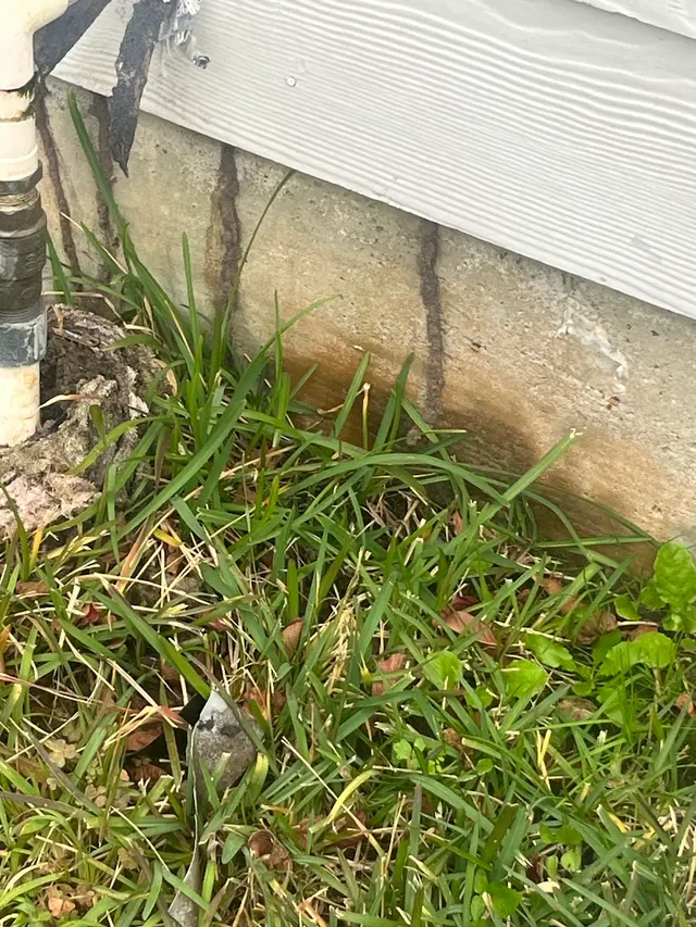 Prokill Pest Control — photo from the business 5
