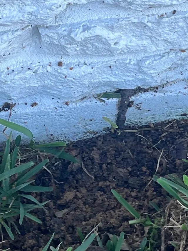 Prokill Pest Control — photo from the business 7