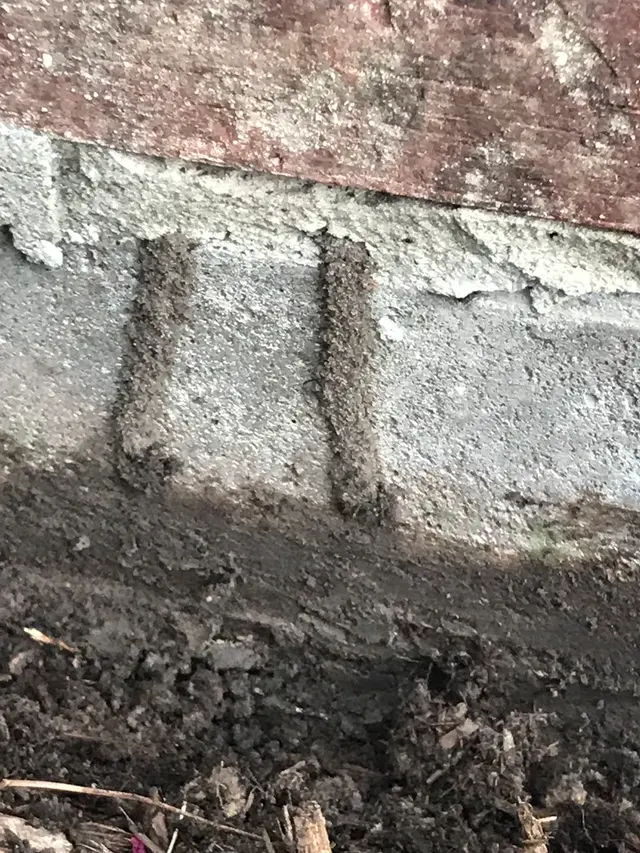 Prokill Pest Control — photo from the business 10