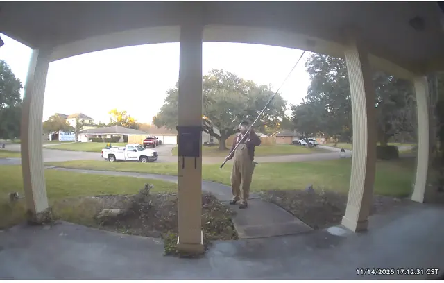 Guaranteed Pest Services — customer photo 5