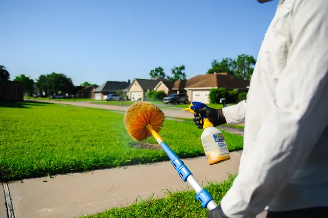 Green Country Pest Control — photo from the business 11