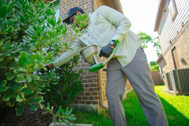 Green Country Pest Control — photo from the business 3