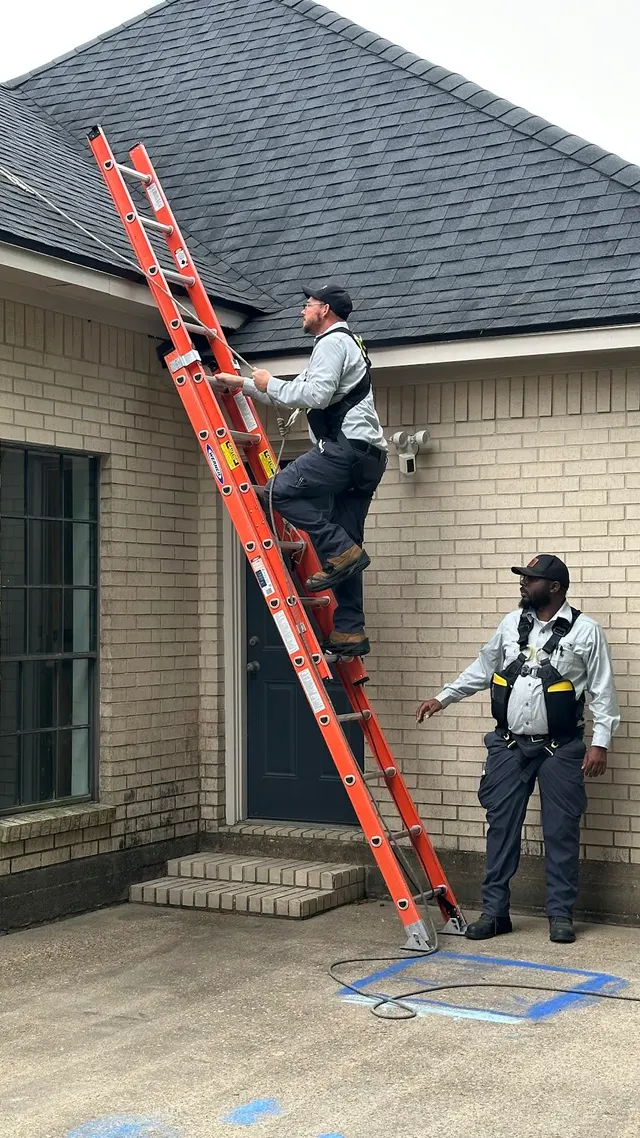 Preventive Pest Control — photo from the business 7