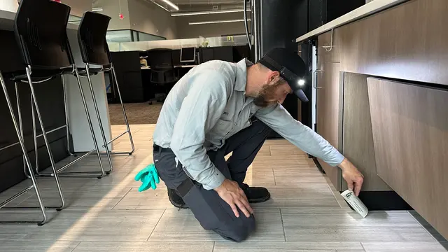 Preventive Pest Control — photo from the business 5
