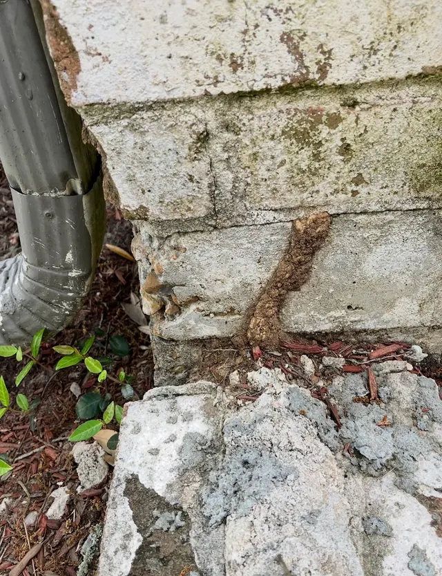 Preventive Pest Control — photo from the business 2