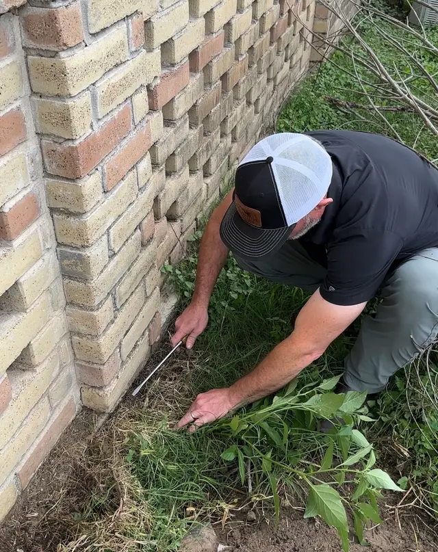 Preventive Pest Control — photo from the business 8