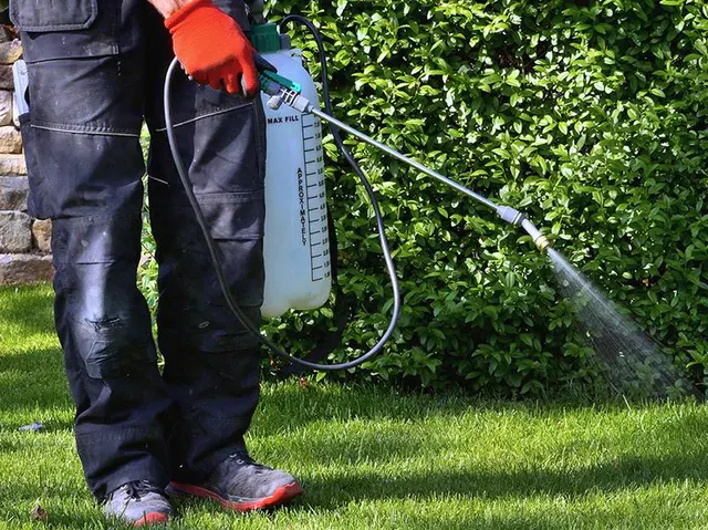 Exterminator Steve Pest Control — photo from the business 2