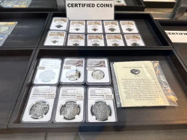 Treasure Hut — customer photo 6
