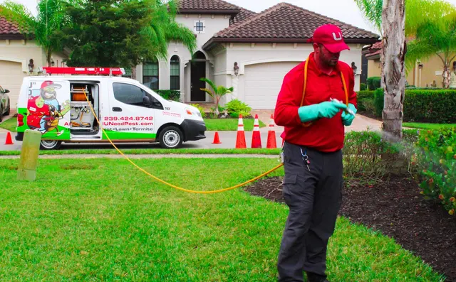 All U Need Pest Control Naples — photo from the business 10