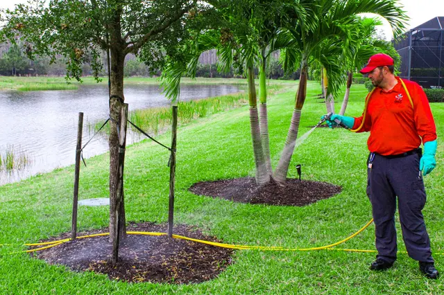 All U Need Pest Control Naples — photo from the business 5