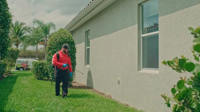 All U Need Pest Control Naples — photo from the business 1