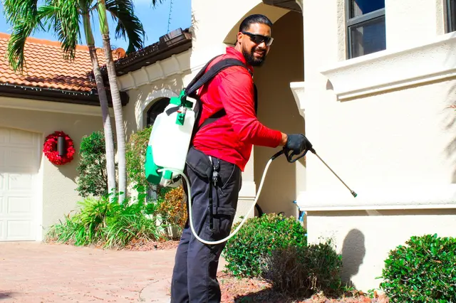All U Need Pest Control Naples — photo from the business 4