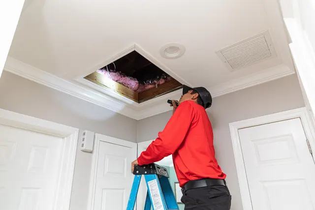 All U Need Pest Control Naples — photo from the business 11