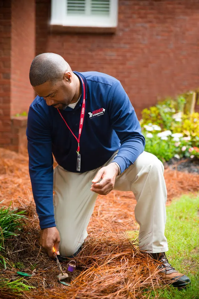 Hughes Exterminators — photo from the business 3