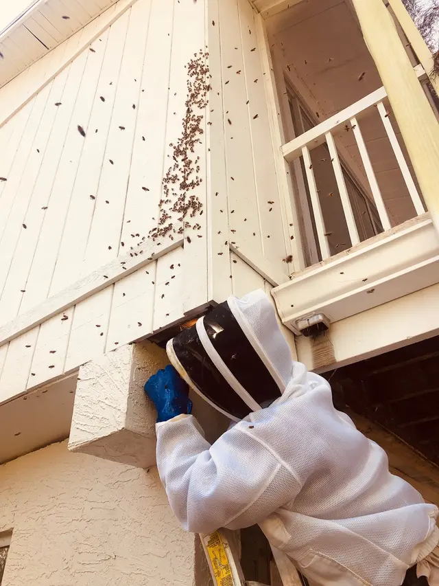 Antimidators Inc. Pest Control — photo from the business 2