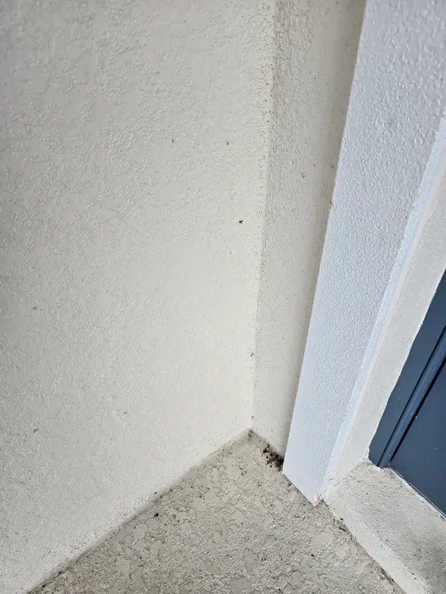 Customer photo of work by Infinite Pest Solutions, from Jeremy Tidwell's review