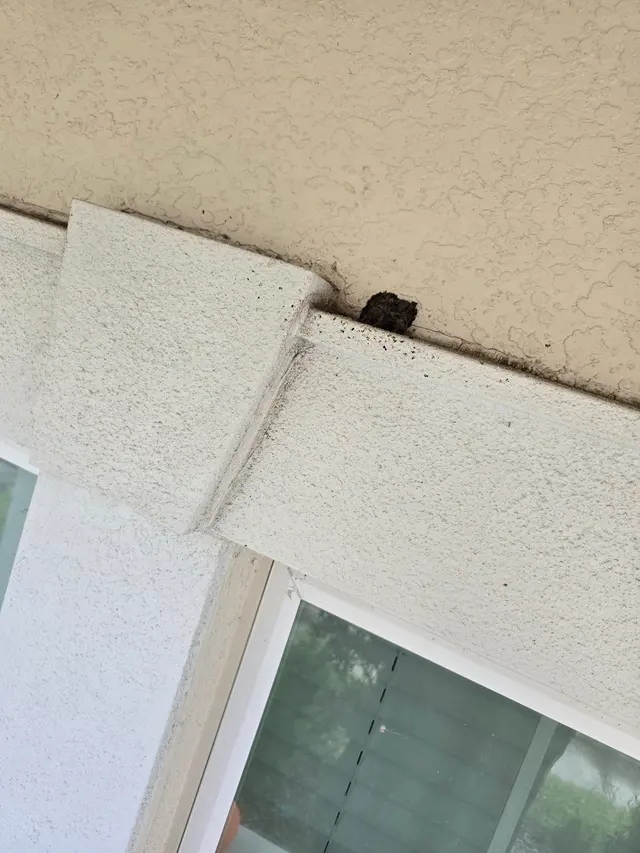 Customer photo of work by Infinite Pest Solutions, from Jeremy Tidwell's review