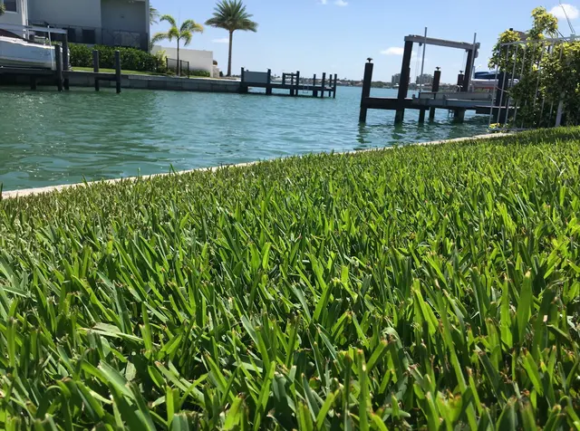 Terra Garden Solutions, Inc. Naples — photo from the business 4