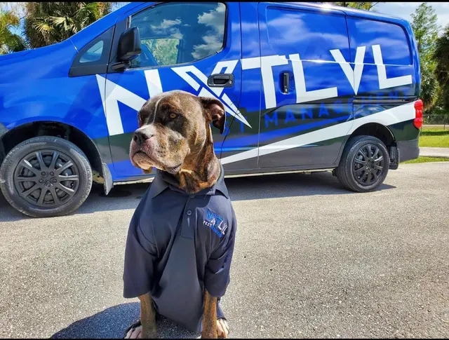 NXTLVL Pest Management — photo from the business 12