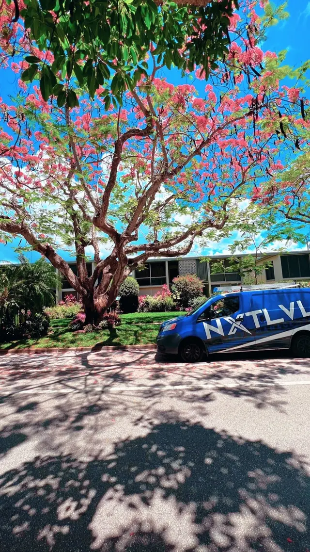 NXTLVL Pest Management — photo from the business 8