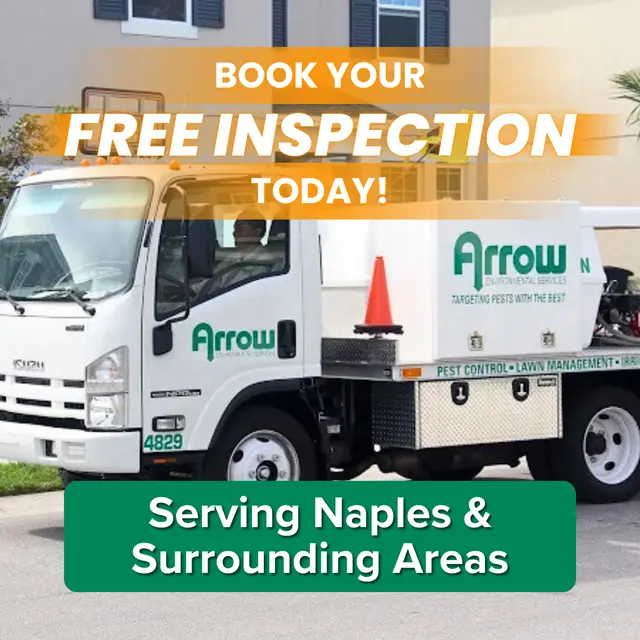 Arrow Environmental Services — photo from the business 1