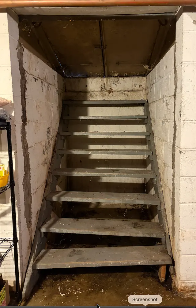 Glazed Cellar Doors by Confident Home Remodelers — customer photo 8